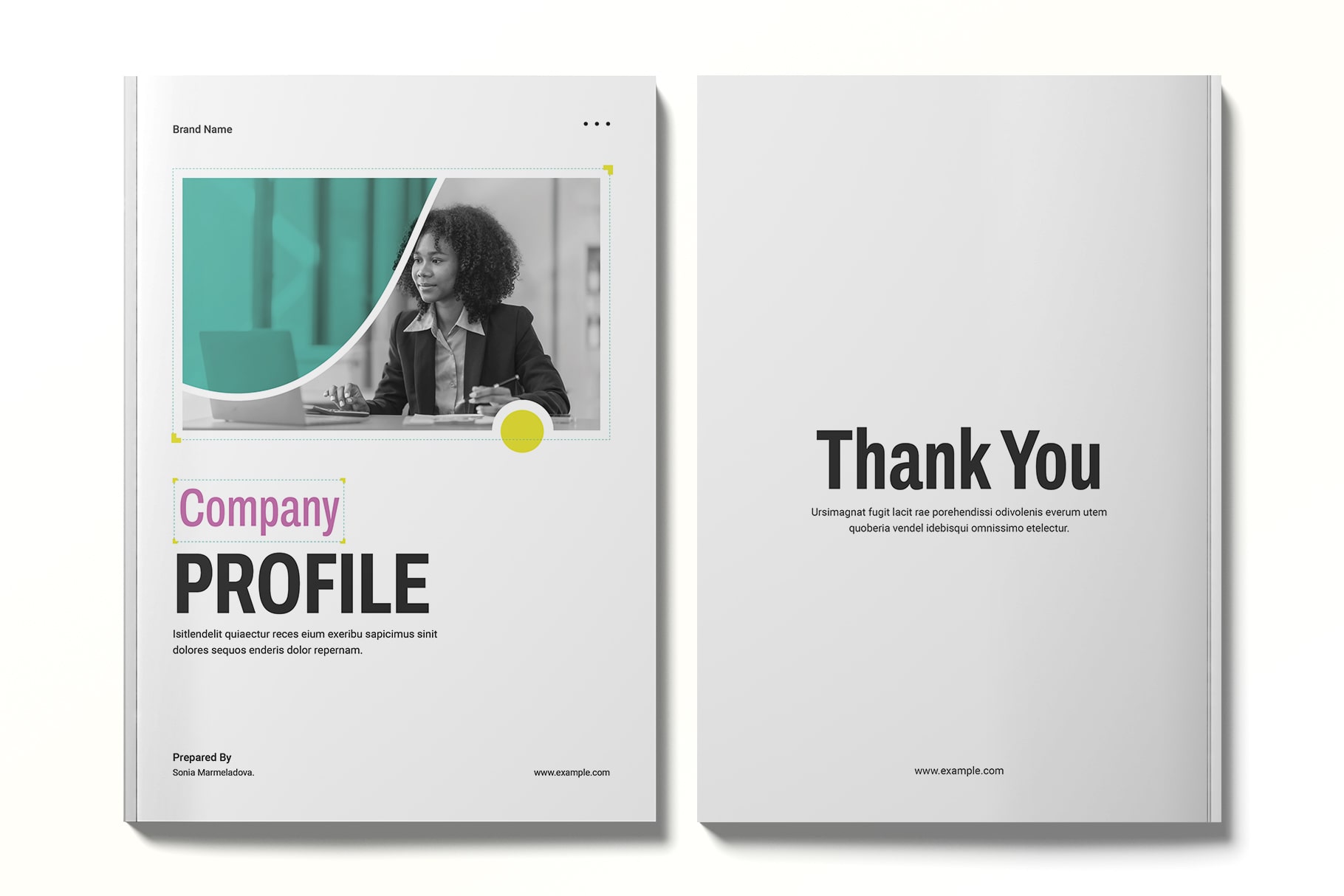 company profile brochure